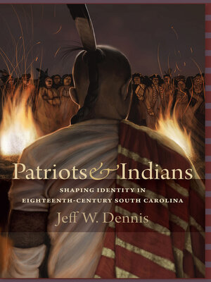 cover image of Patriots & Indians